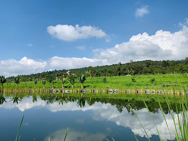 Naturaleza en Attesi Lodge