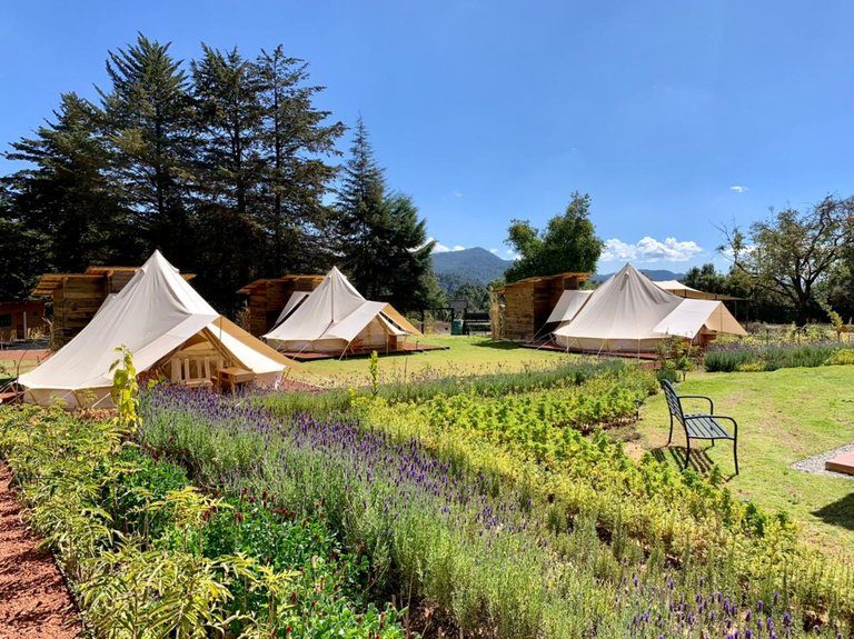 Tents de glamping en Attesi Lodge